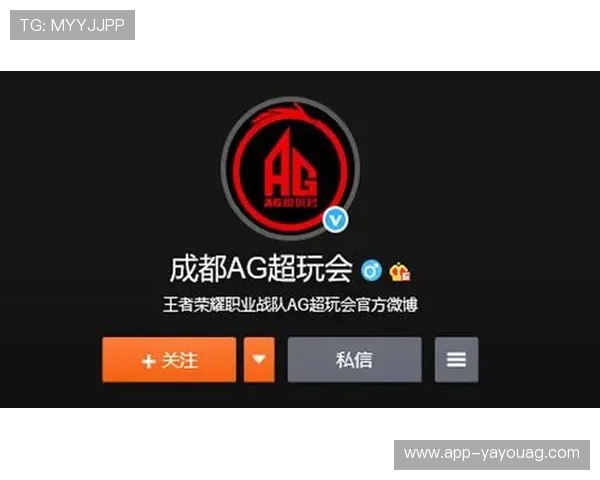 AG手机官方地址官方最新更新，确保玩家安全下载游戏避免虚假网站风险