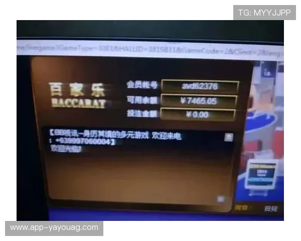 网络赌博百家乐风险分析与合法性问题全面解析帮助玩家识别网络赌博百家乐的常见陷阱与防范措施指南